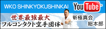 WKO SHINKYOKUSHINKAI YouTube Vɐ^@{